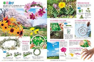 子どもも大人も楽しめる 植物図鑑のおすすめ人気ランキング25選 おすすめexcite
