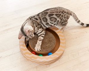 21年最新版 猫のおもちゃの人気おすすめランキング選 おすすめexcite