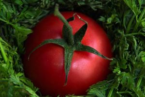 トマト缶の人気おすすめランキング15選 赤ちゃんや大人にも人気 おすすめexcite