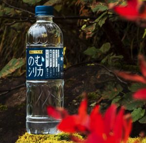 記事番号:144207/アイテムID:5724624の画像