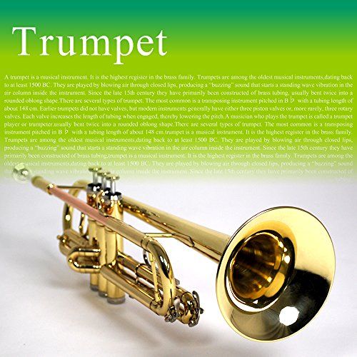 トランペットおすすめ人気ランキング15選 初心者からアマチュアまで おすすめexcite