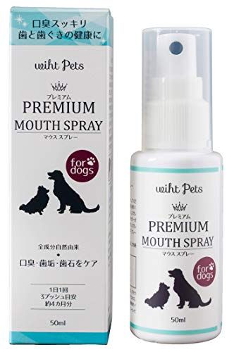 犬用歯磨きグッズのおすすめ人気ランキング選 歯周病予防に おすすめexcite 犬用歯磨きグッズのおすすめ人気ランキング選 歯周病予防に おすすめexcite