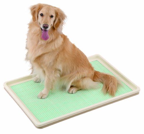 おしゃれな商品も 犬用トイレおすすめランキング15選 おすすめexcite