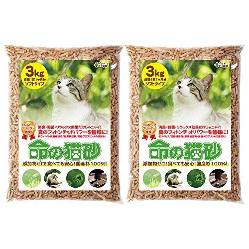 猫砂のおすすめ人気ランキング15選 抜群の消臭 抗菌効果 おすすめexcite
