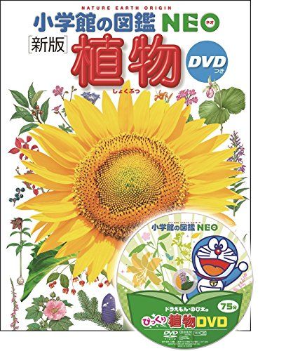 子どもも大人も楽しめる 植物図鑑のおすすめ人気ランキング25選 おすすめexcite