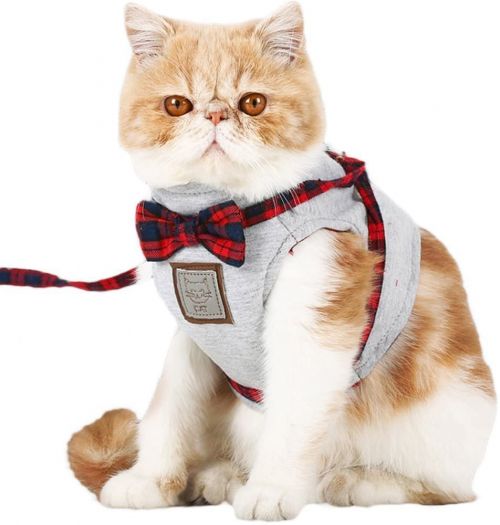 猫用リードのおすすめ人気ランキング15選 ハーネス付 おすすめexcite