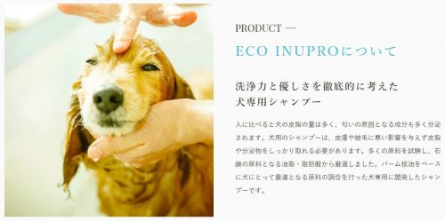 清潔に保つ トイプードル用シャンプーのおすすめ人気ランキング15選 おすすめexcite