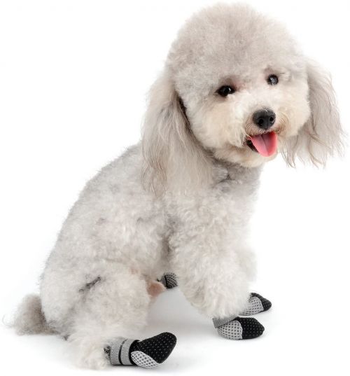 屋外用 屋内外兼用 犬用靴 靴下おすすめ人気ランキング選 おすすめexcite