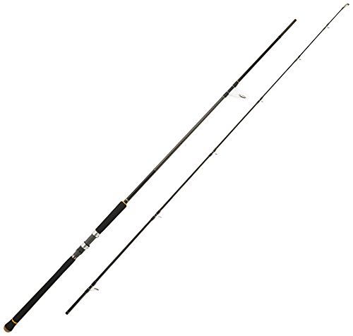 ショアジギングロッドのおすすめ人気ランキング25選 21年最新版 おすすめexcite