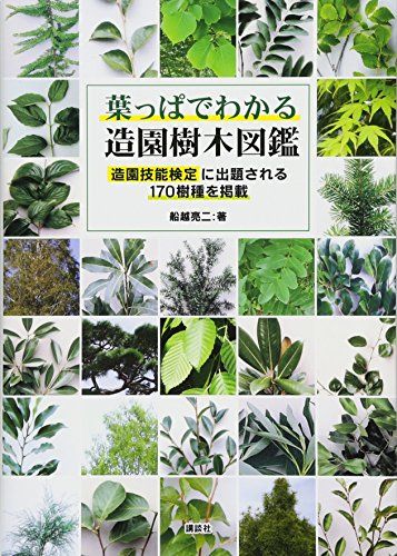 山歩きでポケットに 植物図鑑のおすすめ人気ランキング25選 子供も大人も おすすめexcite
