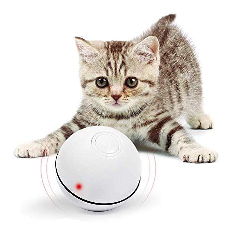 21年最新版 猫のおもちゃの人気おすすめランキング選 おすすめexcite
