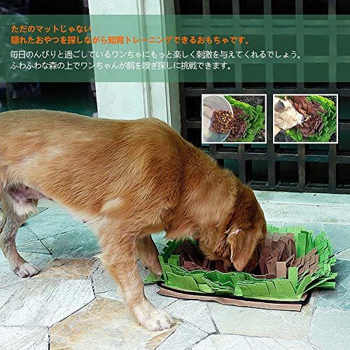 犬用留守番おもちゃの人気おすすめランキング選 暇つぶしに おすすめexcite