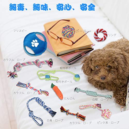 犬用留守番おもちゃの人気おすすめランキング選 暇つぶしに おすすめexcite