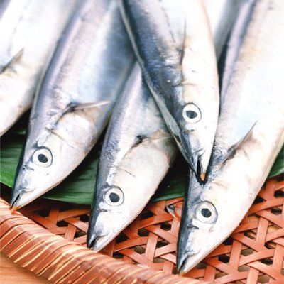 ザリガニの餌の人気おすすめランキング15選 家にあるものでも おすすめexcite