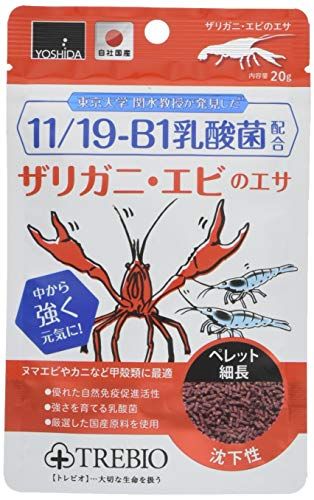 ザリガニの餌の人気おすすめランキング15選 家にあるものでも おすすめexcite