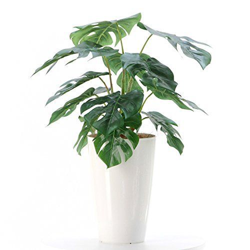 超リアルなフェイクグリーンの人気おすすめランキング選 光触媒やミニサイズも紹介 おすすめexcite