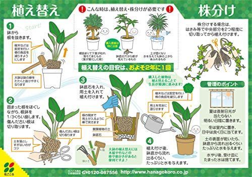 培養土の人気おすすめランキング15選 初心者にも おすすめexcite