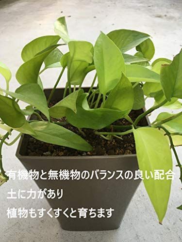 培養土の人気おすすめランキング15選 初心者にも おすすめexcite