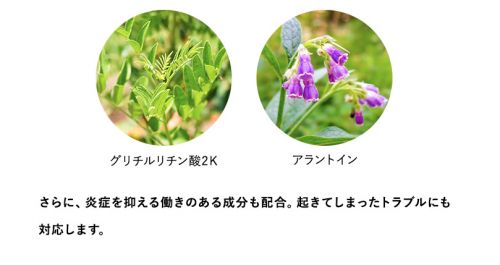 記事番号:144329/アイテムID:5745832の画像